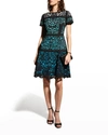 Shani Laser-cut Colorblocked Crepe Dress In Blkteal