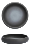 Fortessa Cloud Terre Set Of 4 Arlo Bowls In Charcoal