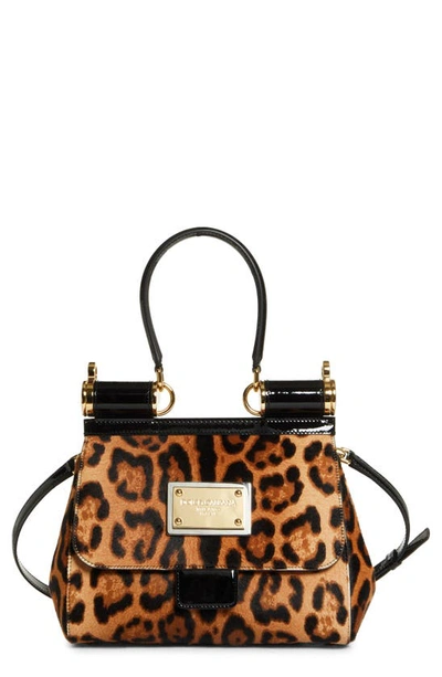 Dolce & Gabbana Tall Sicily Genuine Calf Hair Satchel In Leo