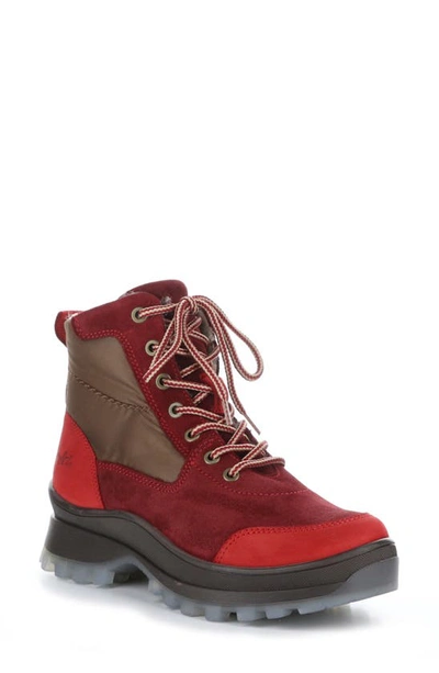 Bos. & Co. Dacks Leather & Wool Lined Boot In Red/ Sangria/ Tan Nubuck