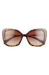 Prada 53mm Butterfly Sunglasses In Brown Pattern