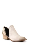 Diba True Shy Town Bootie In Stone/ Spot