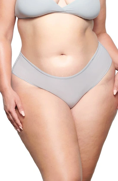 Skims Fits Everybody Hipster Briefs In Moonstone