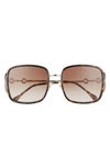 Gucci 58mm Square Sunglasses In Havana