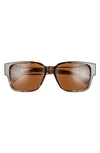 Versace Havana 57mm Rectangular Sunglasses In Havana/ Dark Brown