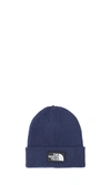 The North Face Box Logo-patch Ribbed Beanie In Blue