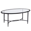 Southern Enterprises Carabella Metal And Glass Oval Cocktail Table