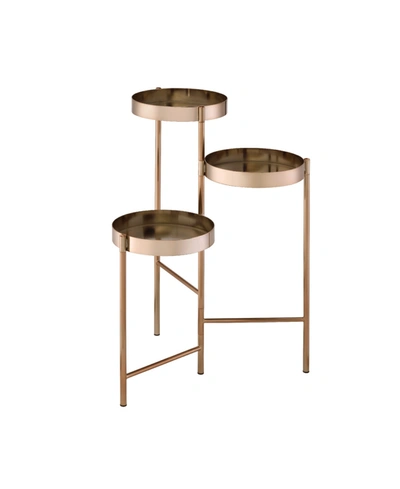 Acme Furniture Namid Plant Stand In Gold-tone