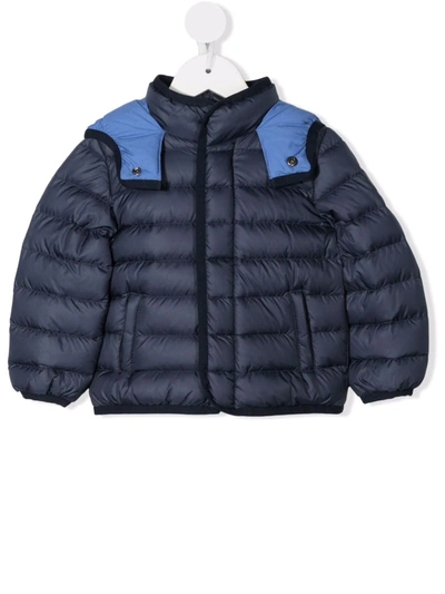 Colmar Babies' Hooded Padded Jacket In Blue