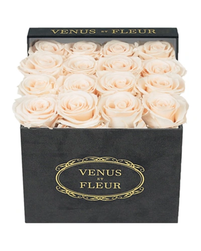Venus Et Fleur Suede Small Square Rose Box In Pearl