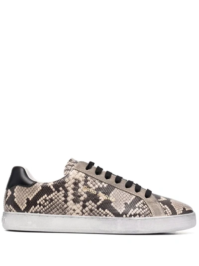 Palm Angels New Tennis Python-print Sneakers In Brown