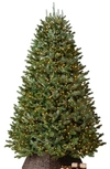 Balsam Hill 7.5-foot Artificial Led Light Fraser Fir Tree In Candlelight Clear Led