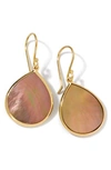Ippolita 18k Yellow Gold Polished Rock Candy Brown Shell Mini Teardrop Earrings In Yellow Gold/ Brown Shell