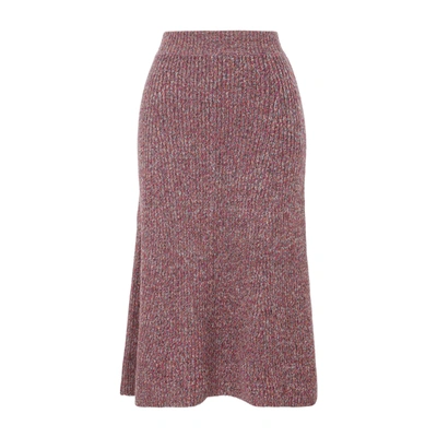 Chloé Knitted Midi Skirt In Pink &amp; Purple