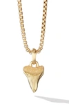 David Yurman 18kt Yellow Gold 17mm Shark Tooth Enhancer Amulet In Yellow Gold