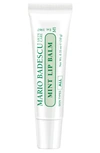 Mario Badescu Mint Lip Balm In Mint