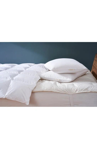 Coyuchi Organic Cotton Pillow Protector In Alpine White