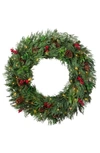 Balsam Hill Winter Evergreen Artificial Led Light Outdoor Wreath