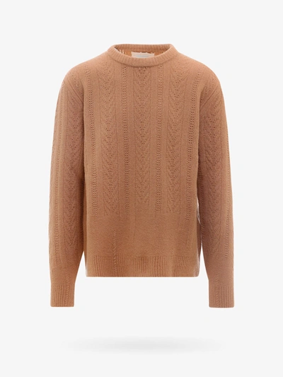 Anylovers Sweater In Brown