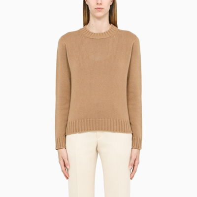 Max Mara Camel Crewneck Pullover In Beige