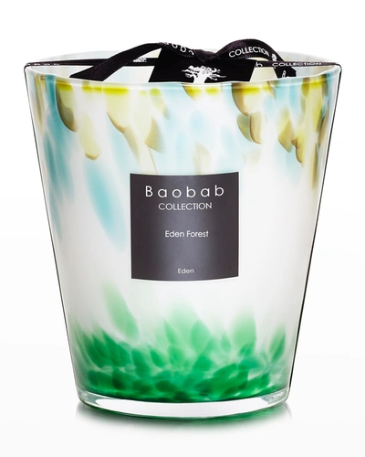Baobab Collection Max 16 Eden Forest Scented Candle