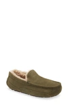 Ugg Ascot Leather Slipper In Burnt Olive