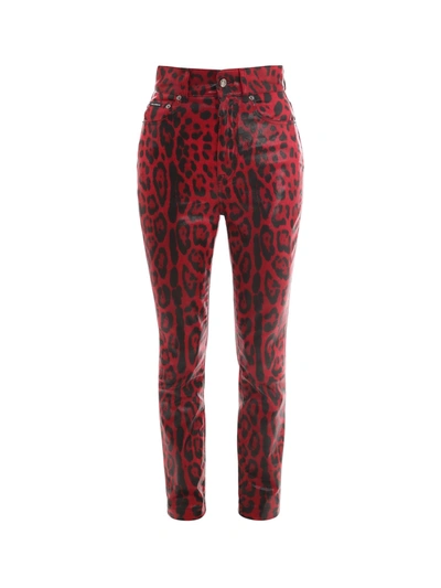 Dolce & Gabbana Trouser With Animalier Print In Red