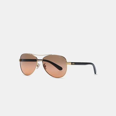 Coach Horse And Carriage Pilot Sunglasses In Brown