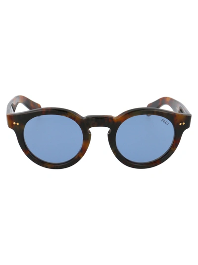 Polo Ralph Lauren 0ph4165 Sunglasses In 50171u Shiny Jerry Brown