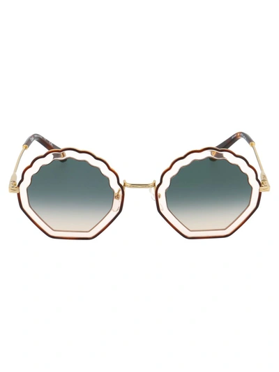 Chloé Eyewear Shell Sunglasses - 棕色 In Brown