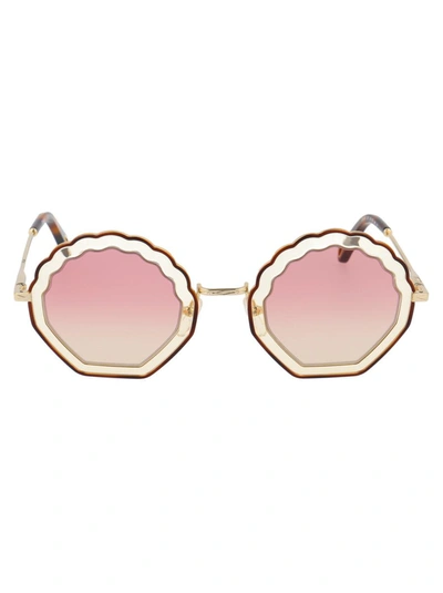 Chloé Shell Shaped Sunglasses In Multi-colored