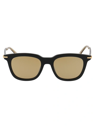 Jimmy Choo Amos/s Sunglasses In Brown