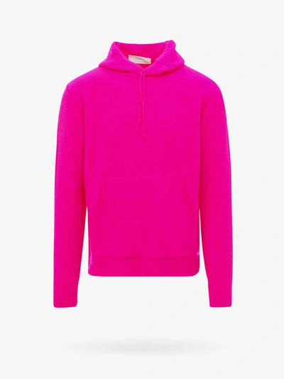 Anylovers Sweatshirt In Pink