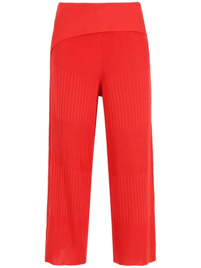 Alcaçuz Ribbed-knit Cropped Trousers In Red