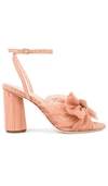 Loeffler Randall Camellia Pleated Bow Heel With Ankle Strap In Beauty