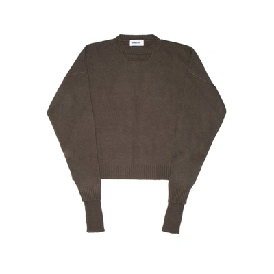 Ambush Logo Sweater In Verde