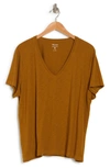 Madewell Whisper Cotton V-neck T-shirt In Spiced Olive
