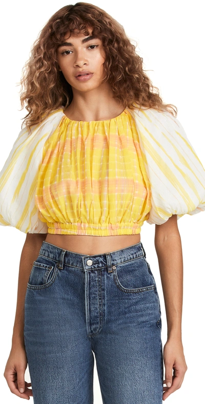 Aje Women's Wilderness Printed Cotton Cropped Top In Yellow