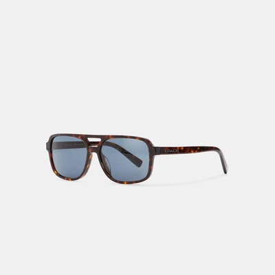 Coach Signature Pilot Sunglasses In Brown