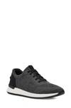 Ugg ® Adaleen Sneaker In Black Jersey Fabric