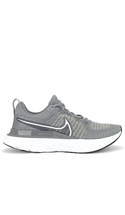 Nike React Infinity Run Flyknit 2 Sneakers In Particle Gray