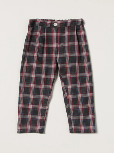 Siola Pants In Tartan Cotton Blend In Grey