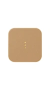 Courant Catch:1 In Cortado