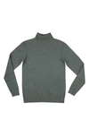 X-ray Turtleneck Pullover Sweater In Sage