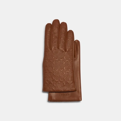 Coach Signature Leather Tech Gloves In Brown