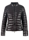 Patrizia Pepe Zip-up Logo Puffer Jacket In Black