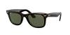 Ray Ban Ray In Green Classic G-15
