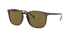 Ray Ban Ray In Brown Classic