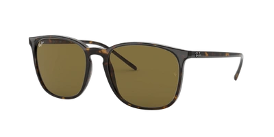 Ray Ban Ray In Brown Classic
