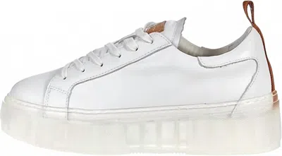 42 Gold Women's Glee Sneaker In White In Multi